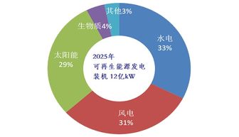 周建平 推動兩個替代，大力發展可再生能源技術咨詢